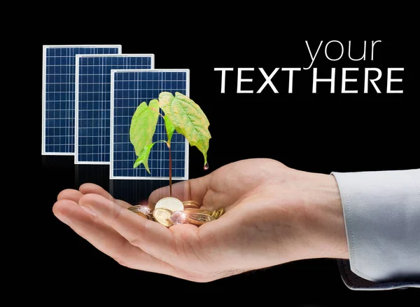 Napelemek Kezeden Érmék Kezedben Megtakarítás Tiszta Energia Koncepciója Megújuló Energiaforrások — Stock Fotó