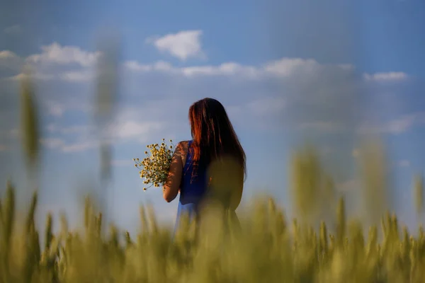 Women Field Grain Bouquet Flowers Chamomile Herbs Composition Related Ecoligical — Stok fotoğraf