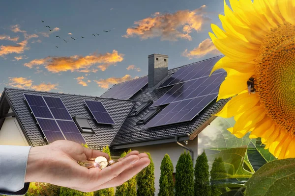 Coins on hand against a house with solar panels installed on the roof, close-up. Economic benefits of renewable energy. Sunflower flower symbol of solar energy.