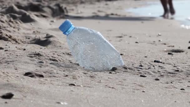 Botella Plástico Orillas Del Mar Problema Microplattico Indiferencia Ante Problema — Vídeos de Stock