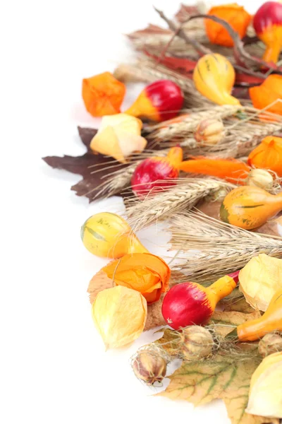 Autumn border with pumpkins — Stock Photo, Image