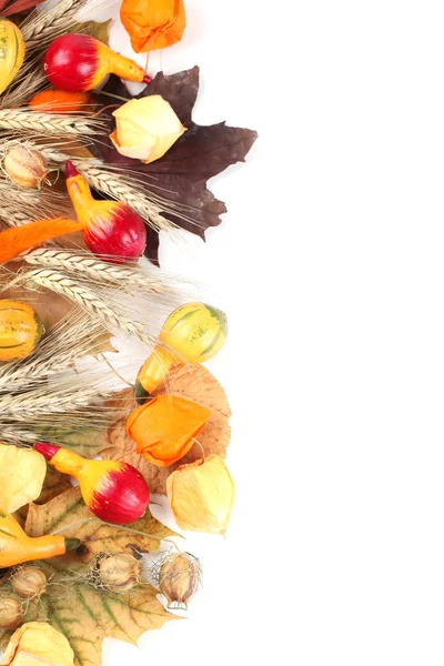 Autumn border with pumpkins — Stock Photo, Image