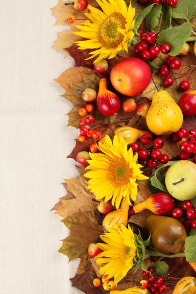 Herbstrahmen mit Früchten, Kürbissen und Sonnenblumen — Stockfoto