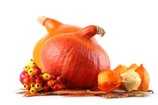 Autumn setting with hokkaido pumpkins — Stock Photo, Image