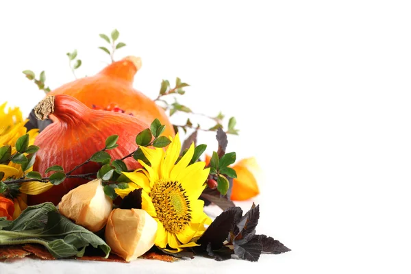 Decoración de otoño con calabazas de hokkaido y girasoles — Foto de Stock