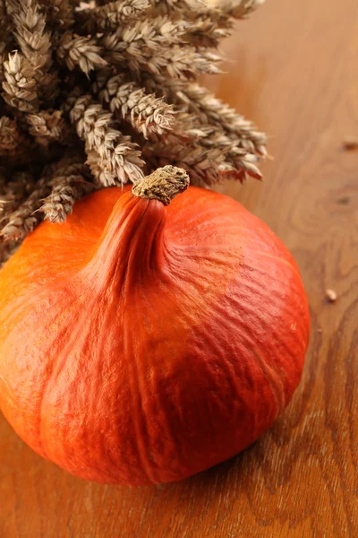 Hokkaido pumpkins and wheat — Stock Photo, Image