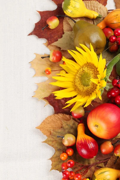 Quadro de outono com frutas, abóboras e girassóis — Fotografia de Stock