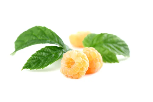 Yellow raspberries — Stock Photo, Image