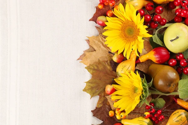 Quadro de outono com frutas, abóboras e girassóis — Fotografia de Stock