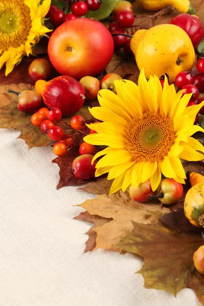 Quadro de outono com frutas, abóboras e girassóis — Fotografia de Stock