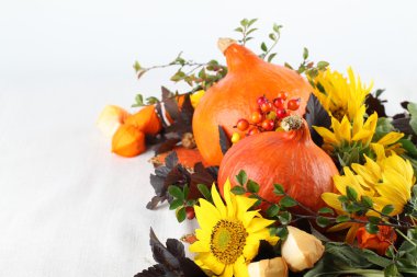 hokkaido kabak ve ayçiçeği ile sonbahar düzenleme