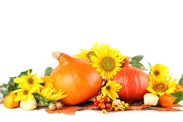 Herfst regeling met hokkaido pompoenen en zonnebloemen — Stockfoto