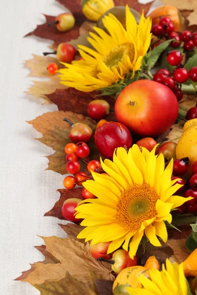 Осіння рамка з фруктами, гарбузами та соняшниками — стокове фото
