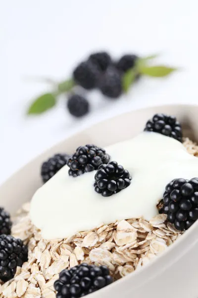 Farinha de aveia com iogurte e amoras — Fotografia de Stock