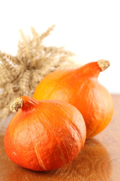 Hokkaido pumpkins — Stock Photo, Image