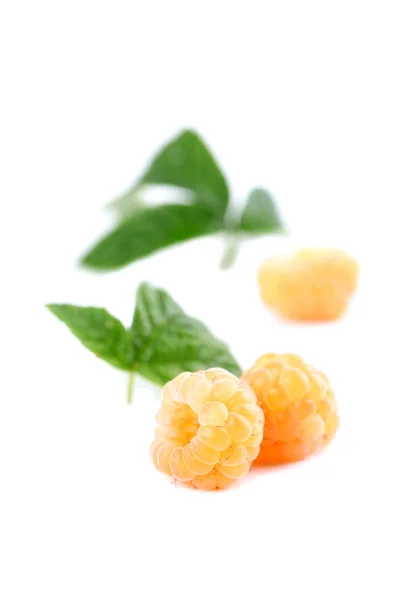 Yellow raspberries — Stock Photo, Image