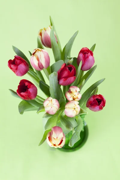 Rode en gele tulpen in een vaas — Stockfoto