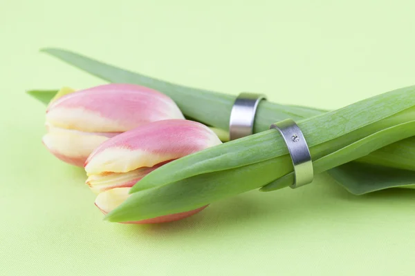 Wedding rings on tulips — Stock Photo, Image