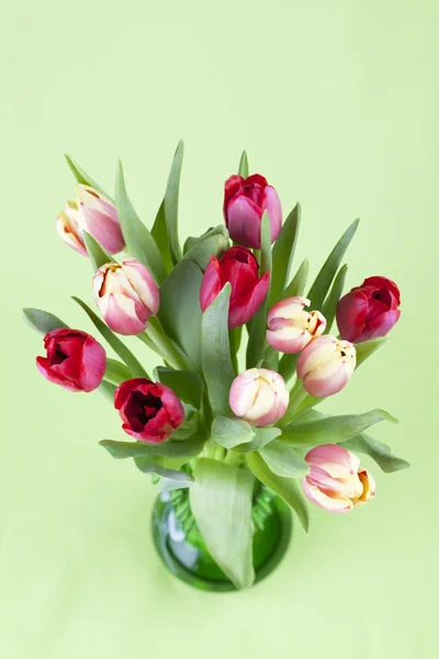 Red and yellow tulips in a vase — Stock Photo, Image