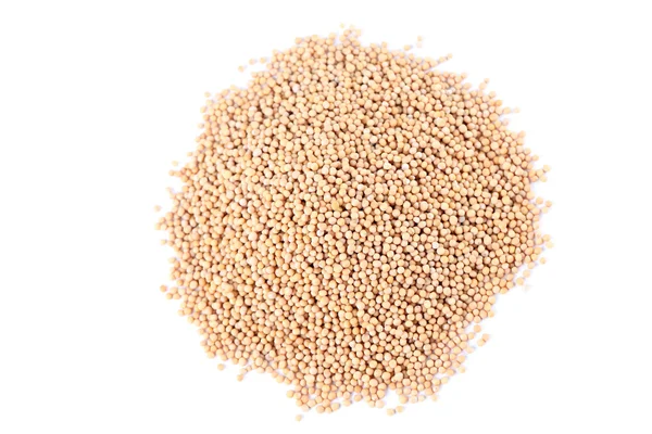 Mustard seeds — Stock Photo, Image