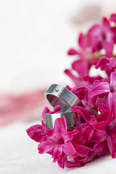 Wedding rings on red hyacinth — Stock Photo, Image