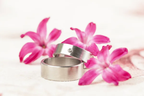 Titanium wedding rings — Stock Photo, Image