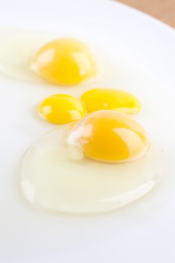 kırık tavuk ve bıldırcın yumurtası