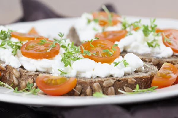 Sandwiches de queso de cabaña — Foto de Stock