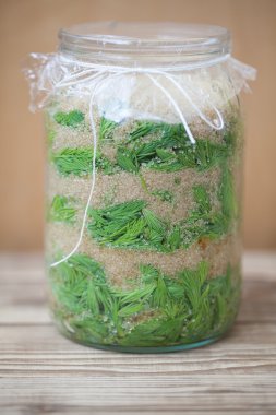 Şurup yapım - Ladin filizlenir