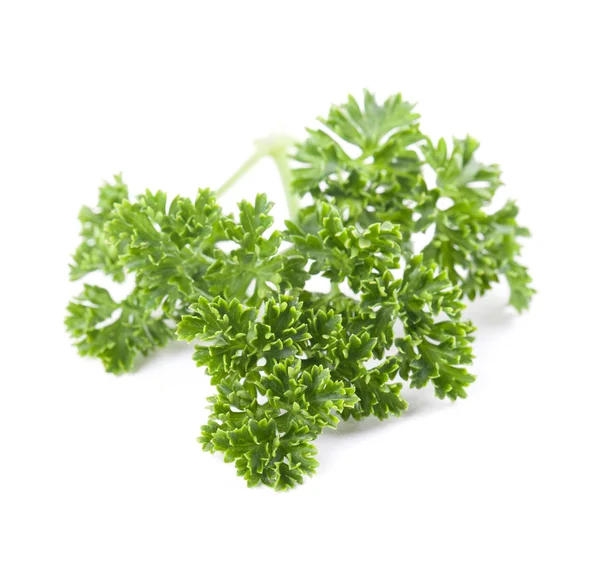 Parsley — Stock Photo, Image