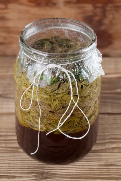 Spruce sprouts syrup - making of — Stock Photo, Image