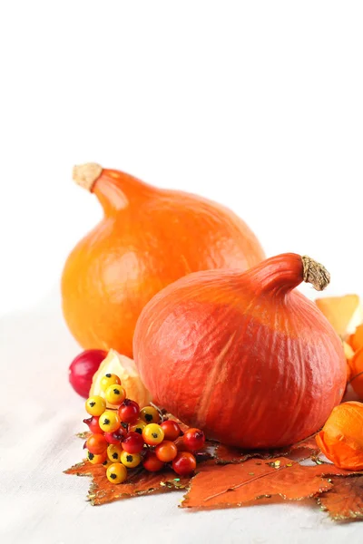 Decoración de otoño con calabazas de hokkaido — Foto de Stock