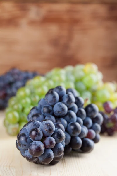 Aglomerados de uvas azuis e verdes — Fotografia de Stock