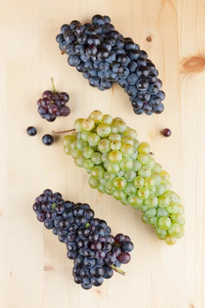 Aglomerados de uvas azuis e verdes — Fotografia de Stock