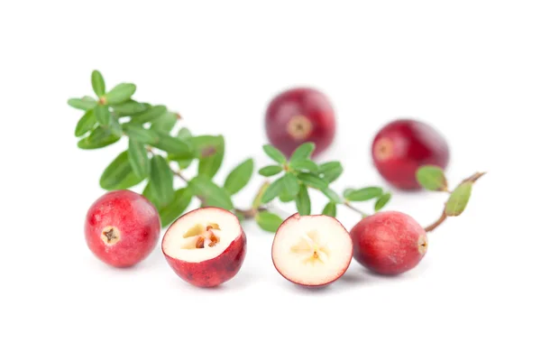 Preiselbeeren auf Weiß — Stockfoto