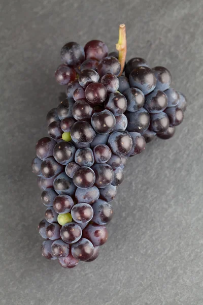 Blue grape cluster on slate board — Stock Photo, Image