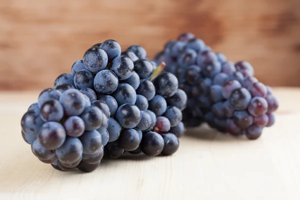 Blue grape clusters — Stock Photo, Image