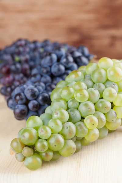 Блакитні та зелені виноградні грона — стокове фото