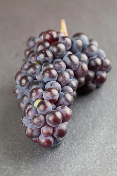 Cluster de uvas azuis na tábua de ardósia — Fotografia de Stock