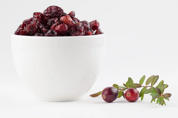 Fresh and dried cranberries — Stockfoto