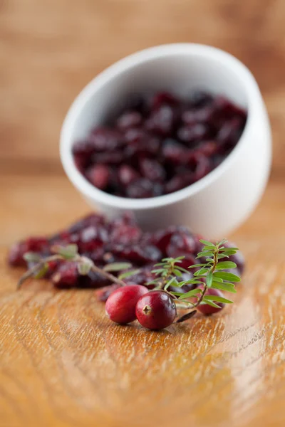 Fresh and dried cranberries — Stockfoto