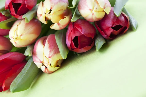 Tulipani rossi e gialli — Foto Stock