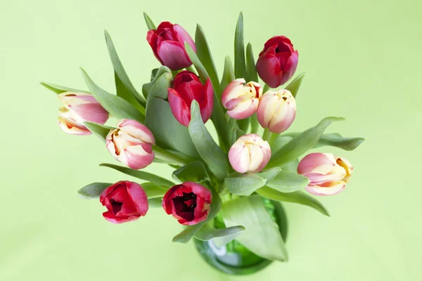 Tulipes rouges et jaunes dans un vase — Photo