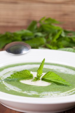 krem ısırgan otu çorbası ekşi krema ile