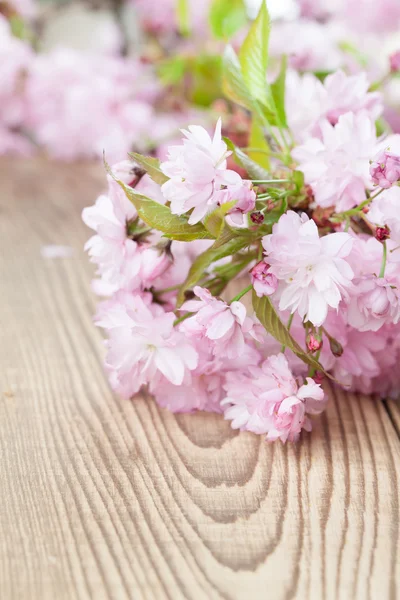 Sakura — Stock Photo, Image