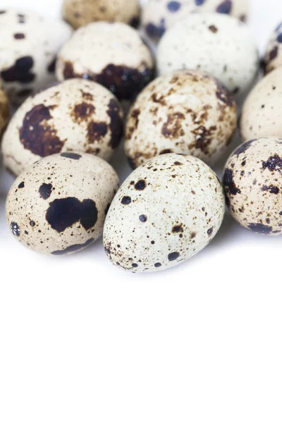 Перепелині яйця кордону — стокове фото