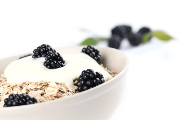 Havermout met yoghurt en bramen — Stockfoto