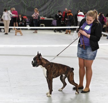 Genç kadın ve köpeği.