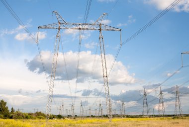 elektrik direkleri
