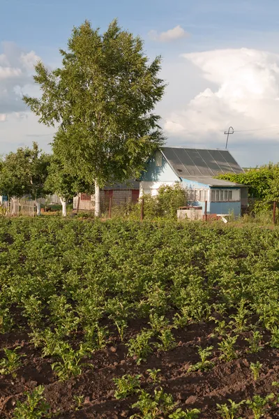 Русский домик в деревне — стоковое фото